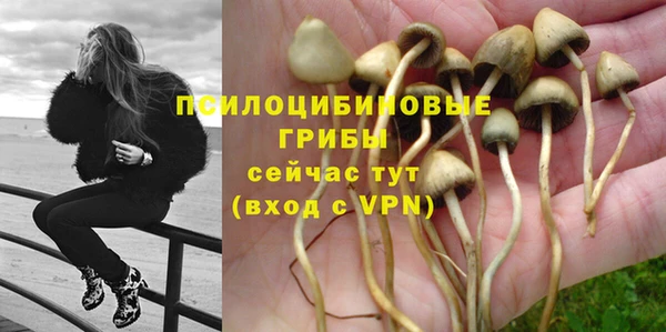 амф Лихославль