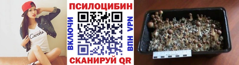 hydra зеркало  Чебаркуль  Псилоцибиновые грибы Psilocybine cubensis  магазин   