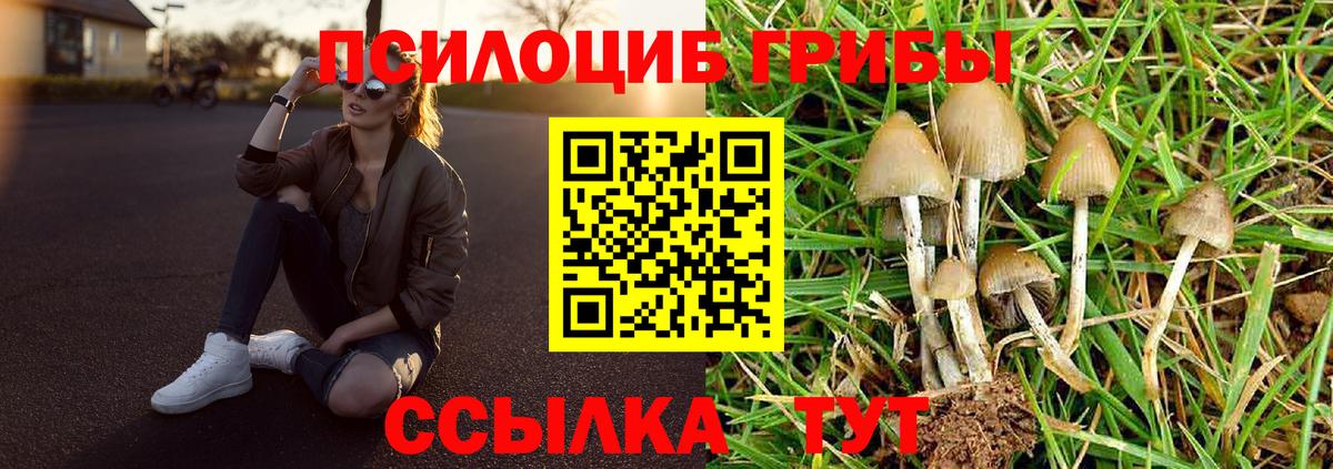 Чебаркуль  Галлюциногенные грибы мухоморы  Вход с VPN 
